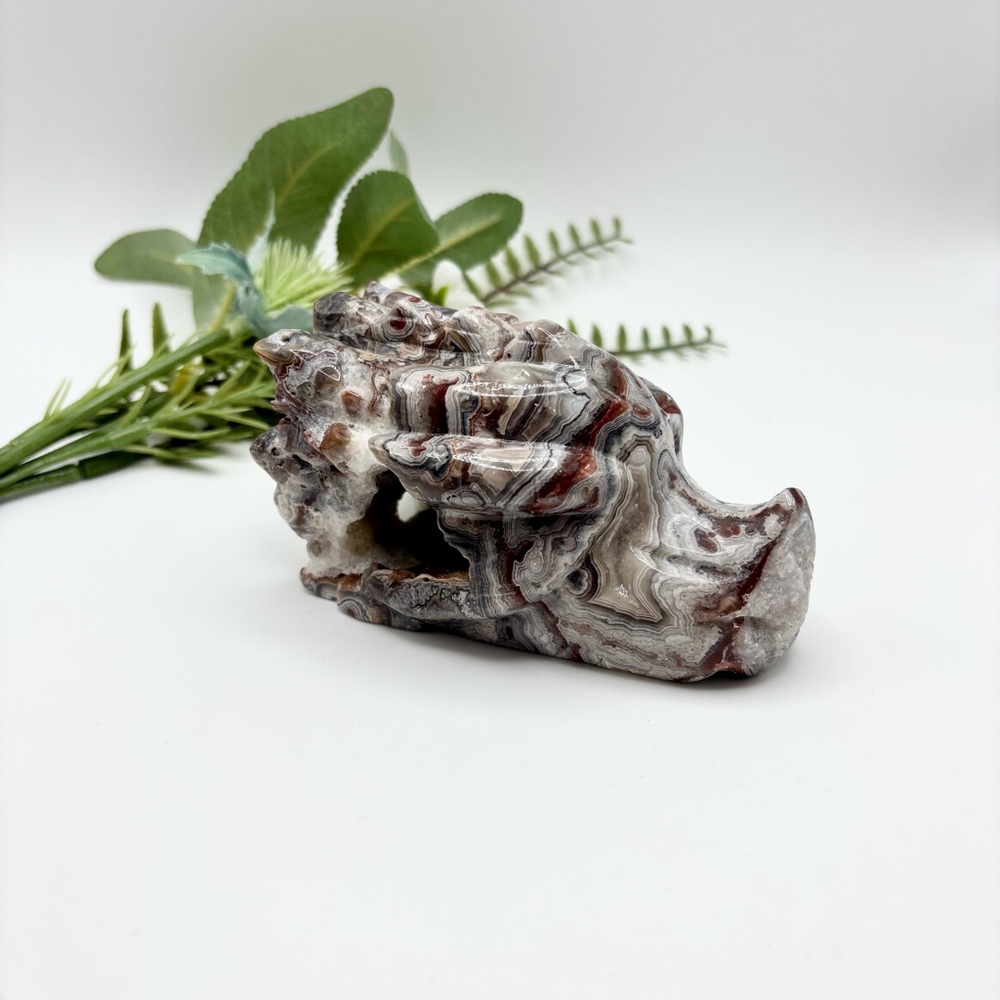Mexican Crazy Lace Agate Dragon Head (A)